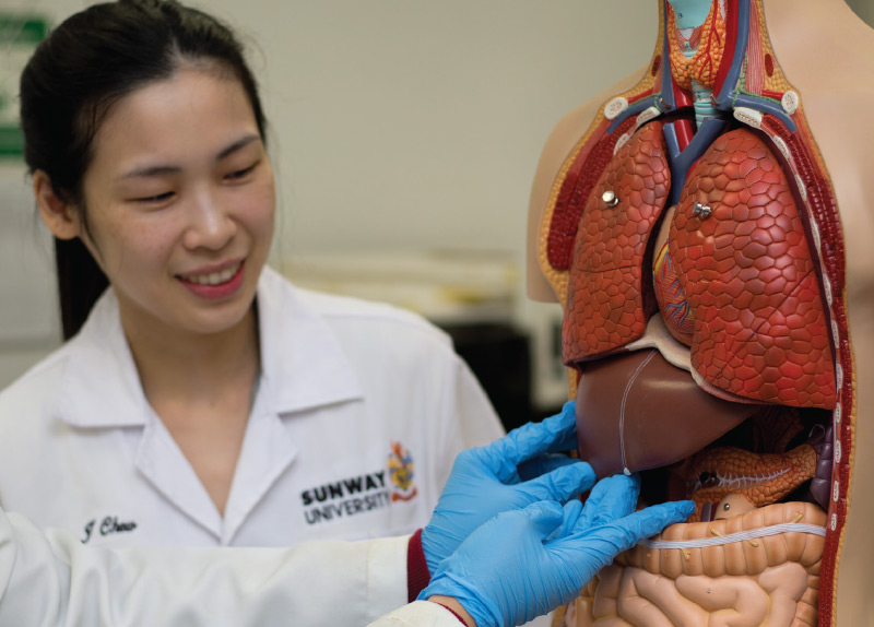 School of Healthcare and Medical Sciences